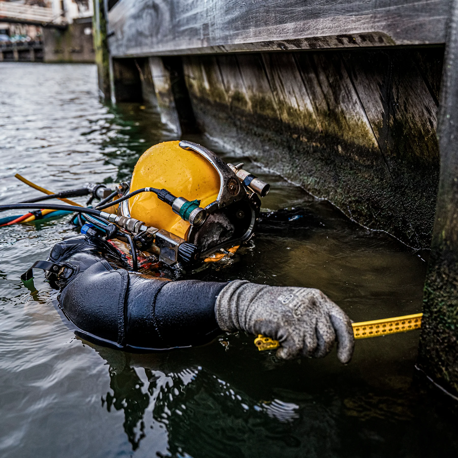 qceas-HHNK-header qceas-HHNK-header