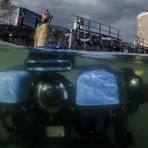 qceas-blog-rov-1600x800px